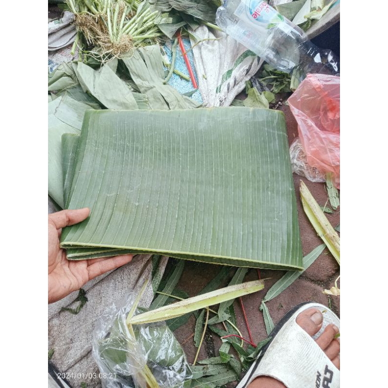 

daun pisang kluthuk/batu(500g)