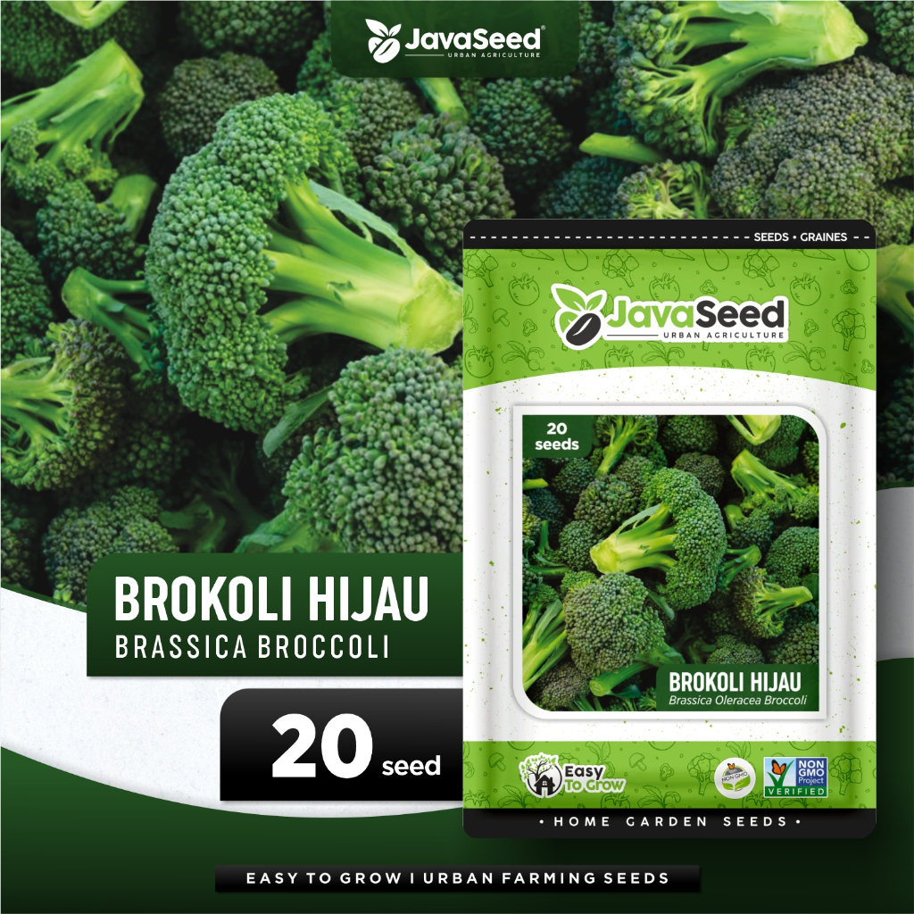 JAVASEED - Benih Brokoli Hijau Green Magic Dataran Rendah 20 Benih