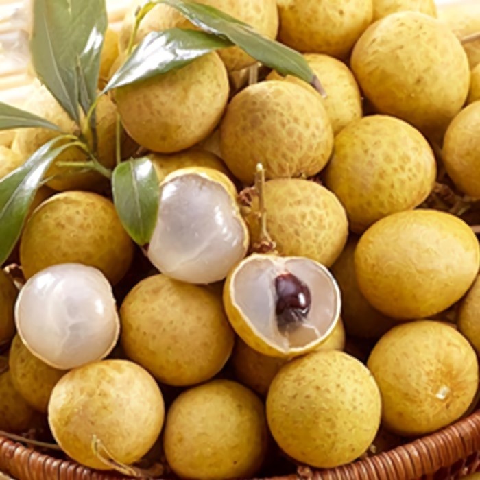 

BUAH KLENGKENG KELENGKENG LENGKENG MANIS FRESH