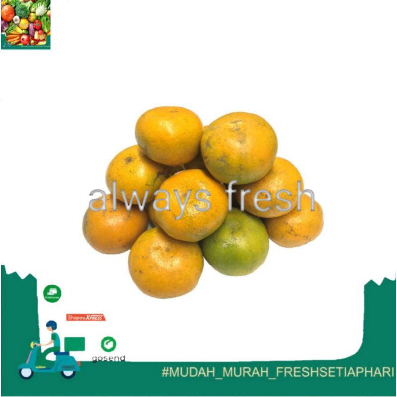 

jeruk medan - always fresh
