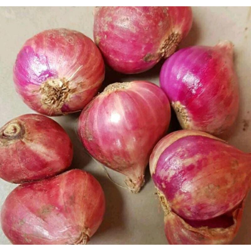 

Bawang Merah BESAR KERING 1 KILO