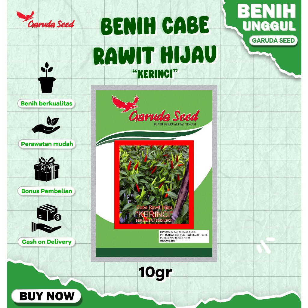 Benih Cabe Rawit Hijau Unggul Kerinci 10 Gram untuk Budidaya Cabai Hijau