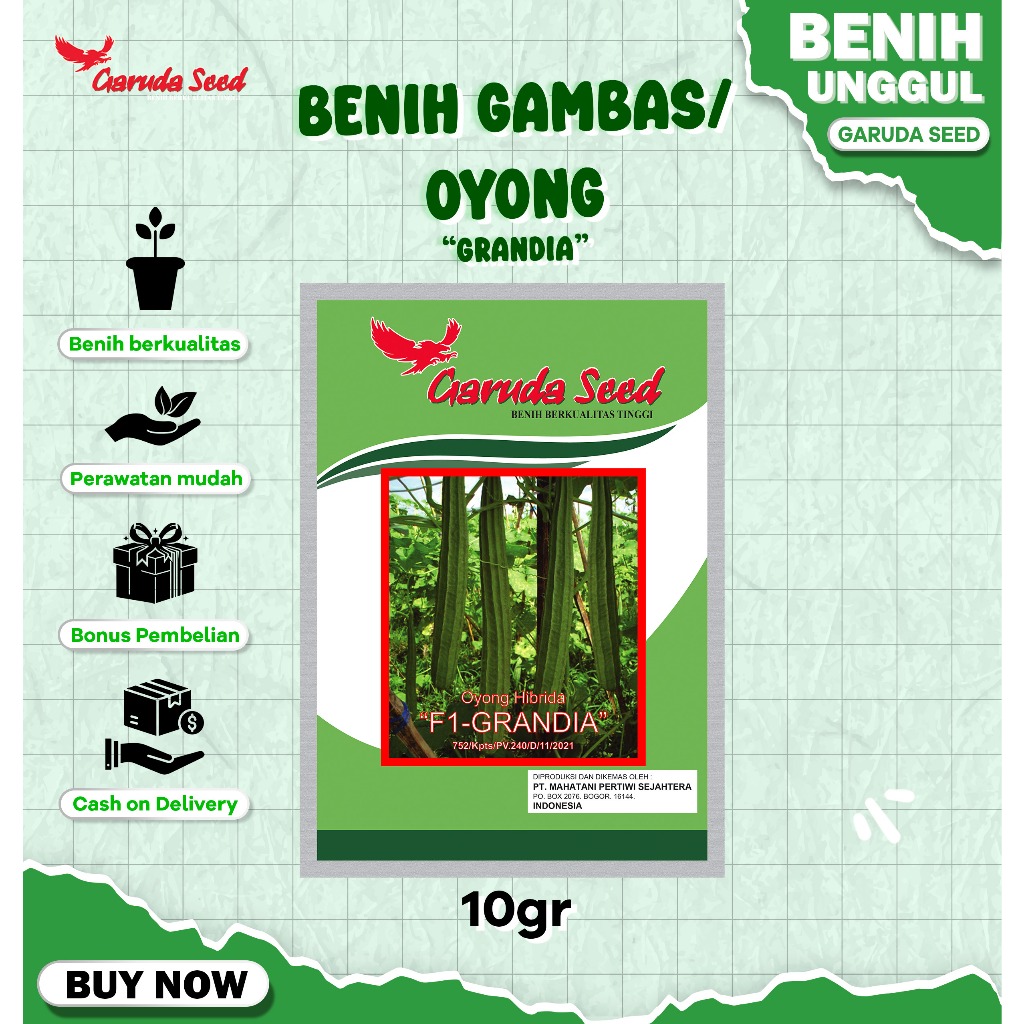 Benih Bibit Oyong Gambas F1 Grandia 10 Gram Garuda Seed