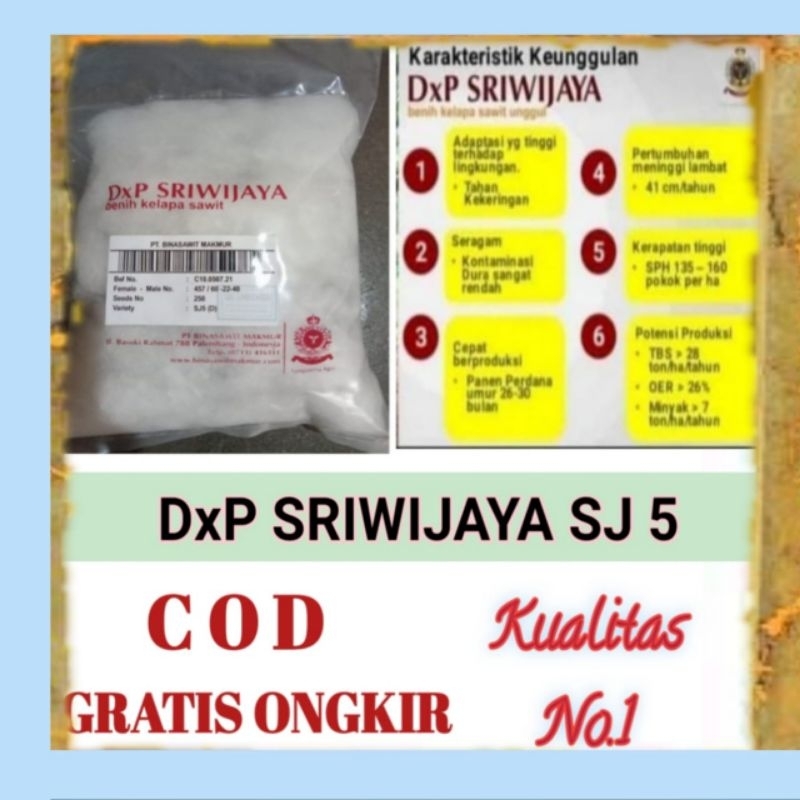 DXP SRIWIJAYA SJ 5