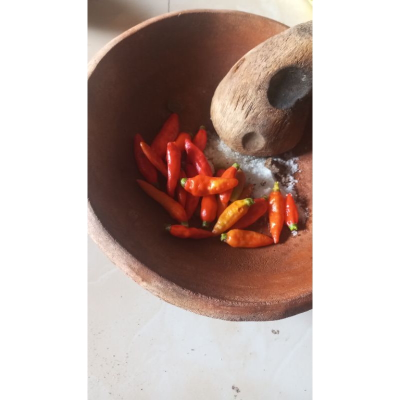 

rujak