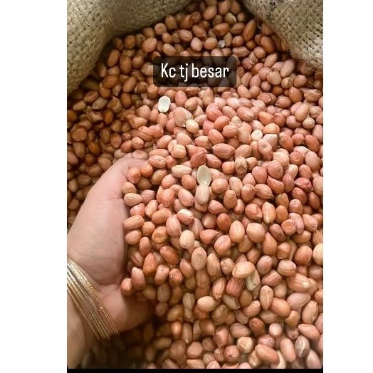

Kacang tanah bagus 250 gr