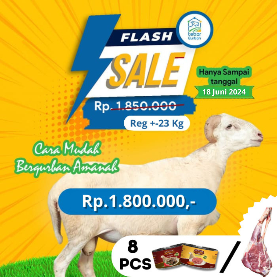 

PROMO QURBAN - TEBAR QURBAN DOMBA/KAMBING BOBOT 23-28KG