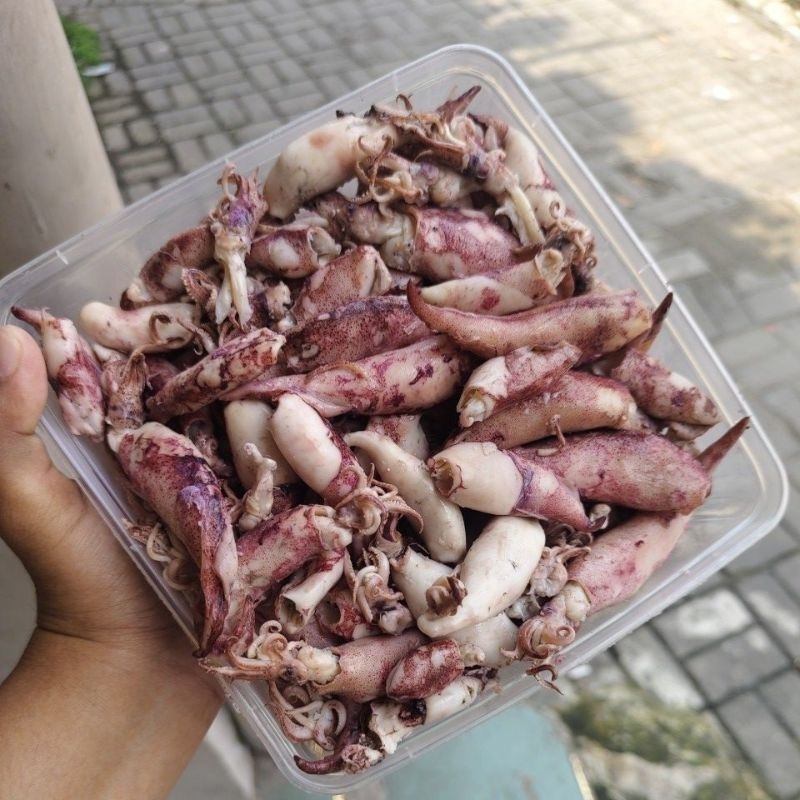 

Cumi Asin 500 gr