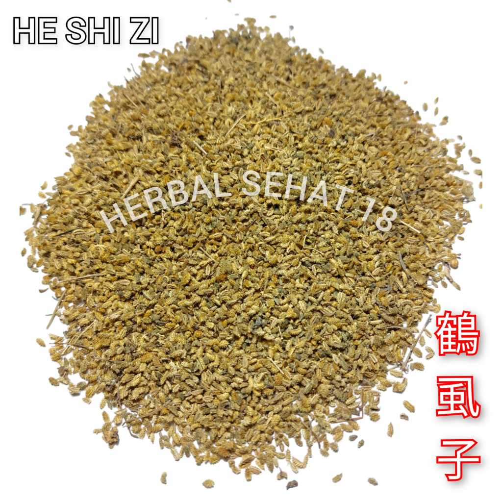

He Shi Zi 鹤虱子 He Xue Zi 鹤血子Carpesium Abrotanoides HOK HIET CI