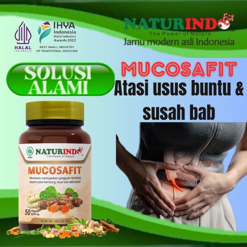 Naturindo Mucosafit Obat Usus Buntu Radang Usus Herbal Usus Buntu Tanpa Operasi Mucosafit Naturindo