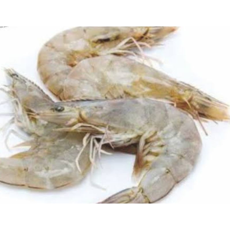

udang segar 250gr