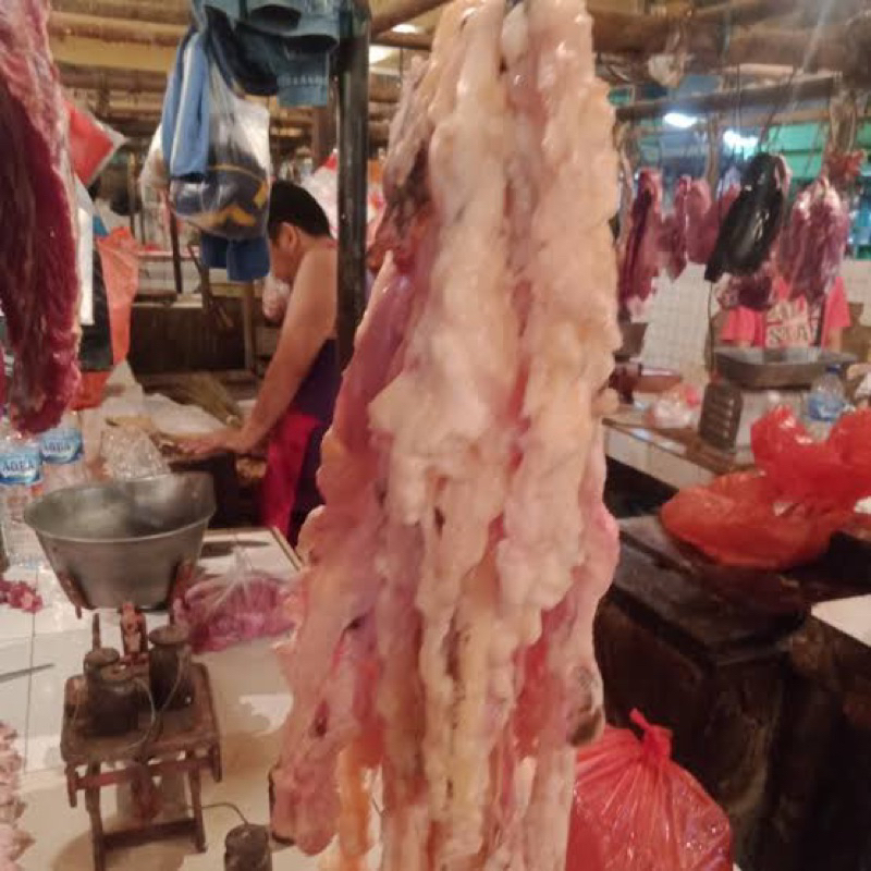 

Gajih Sapi / Lemak Sapi Segar