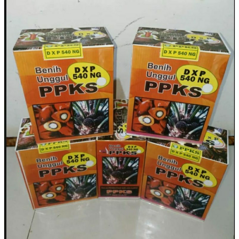 Bibit benih sawit PPKS 540 sertifikat