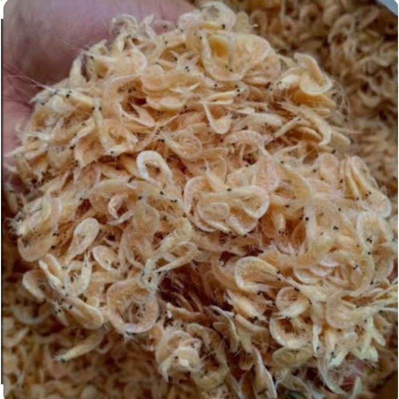 

Rindu alam ikan asin udang rebon kering termurah