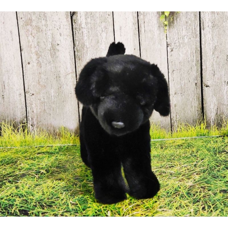 Boneka Anjing Labrador Hitam (Baby Black Labrador)