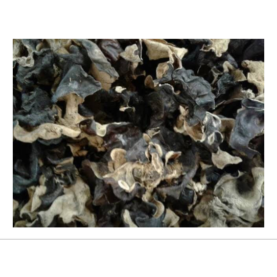 

Jamur kuping hitam kering cap walet (red swallow)