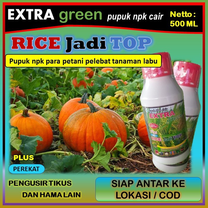 Pupuk tanaman labu npk cair lengkap ( EKTRA GREEN RICE jadi TOP ) 500 ml - pupuk penyubur tanaman la