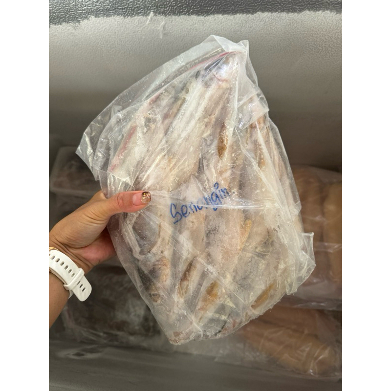 

ikan senangin