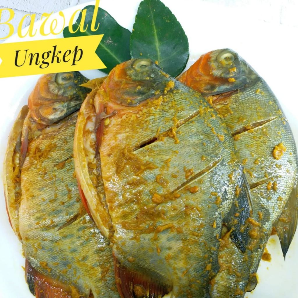 

ikan bawal marinasi bumbu kuning/ikan bawal laut marinasi bumbu kuning/ikan bawal darat marinasi bumbu kuning