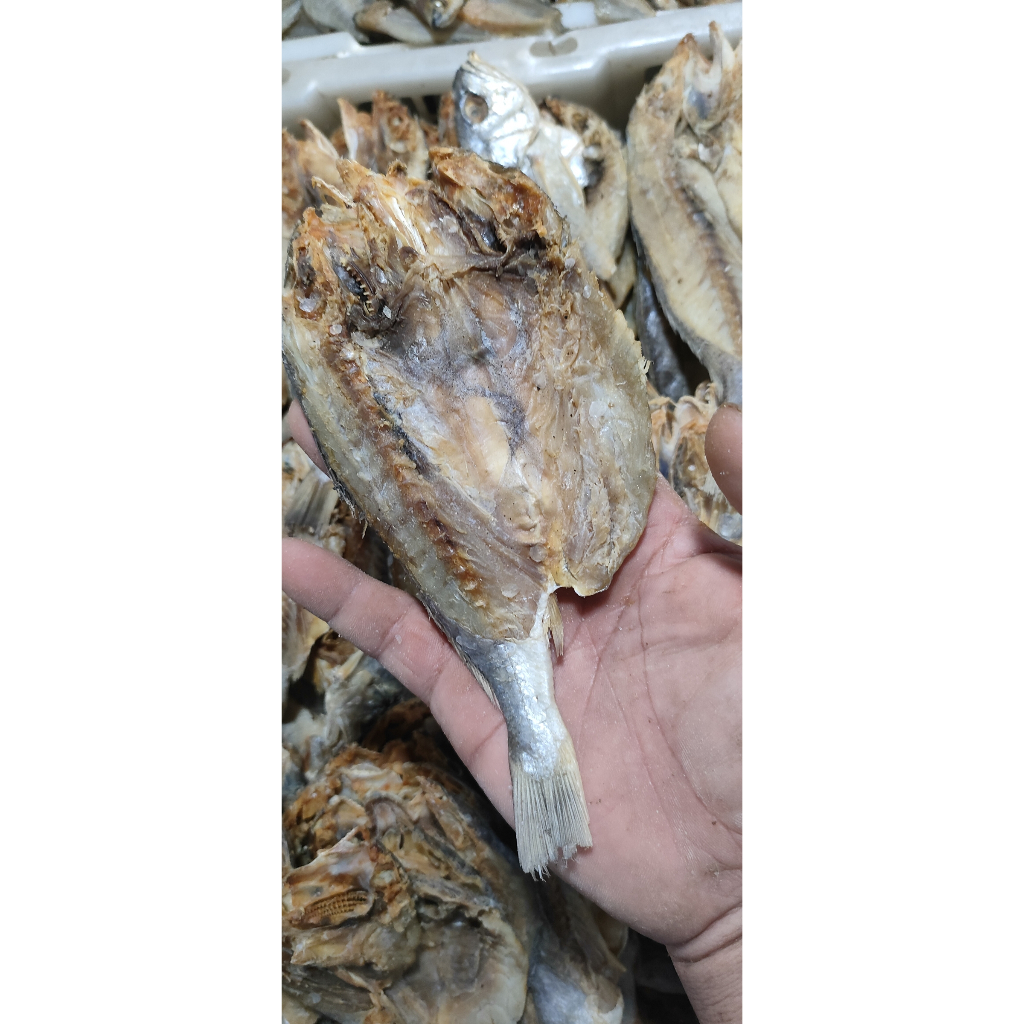 

Ikan Kering Bulama atau Ikan Selungsungan Bulat