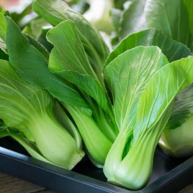 

SAYUR PAKCOY