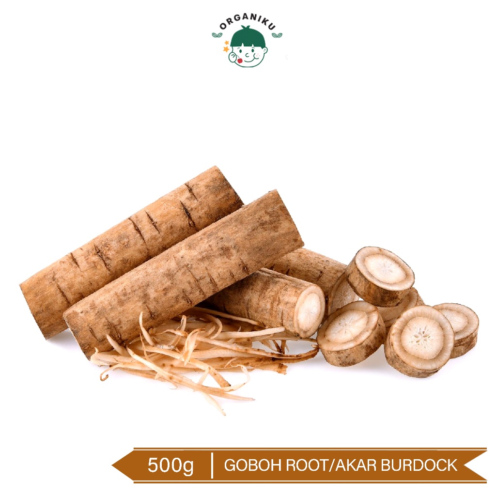 

Goboh Root/Akar Burdock 500gr