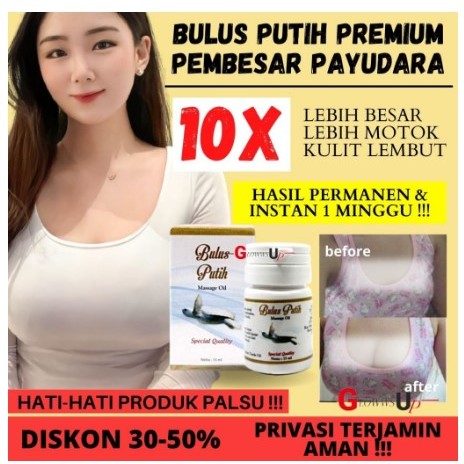 MINYAK BULUS PUTIH PEMBESAR PAYUDARA PENGENCANG PAYUDARA PENGHILANG BEKAS LUKA MINYAK BULUS ORIGINAL
