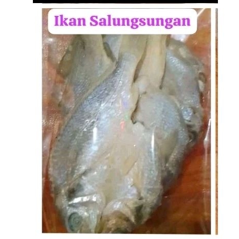 

Ikan Salunsungan