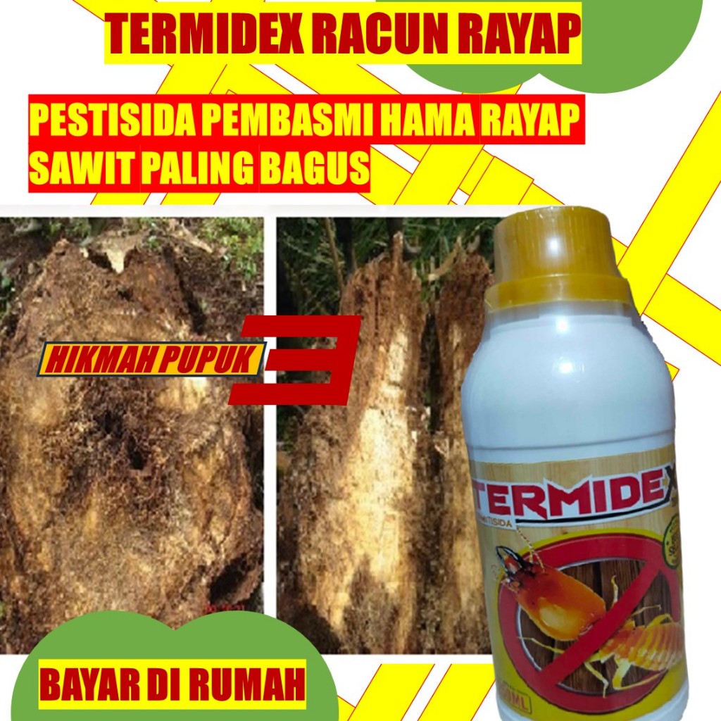 RACOON HAMA RAYAP DI TANAMAN SAWIT 250 ML TERMIDEX MURAH INSEKTISIDA HAMA PERKEBUNAN KELAPA SAWIT