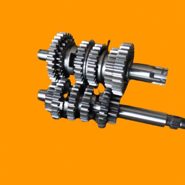 Rasio RXZ YY PANG SHARK