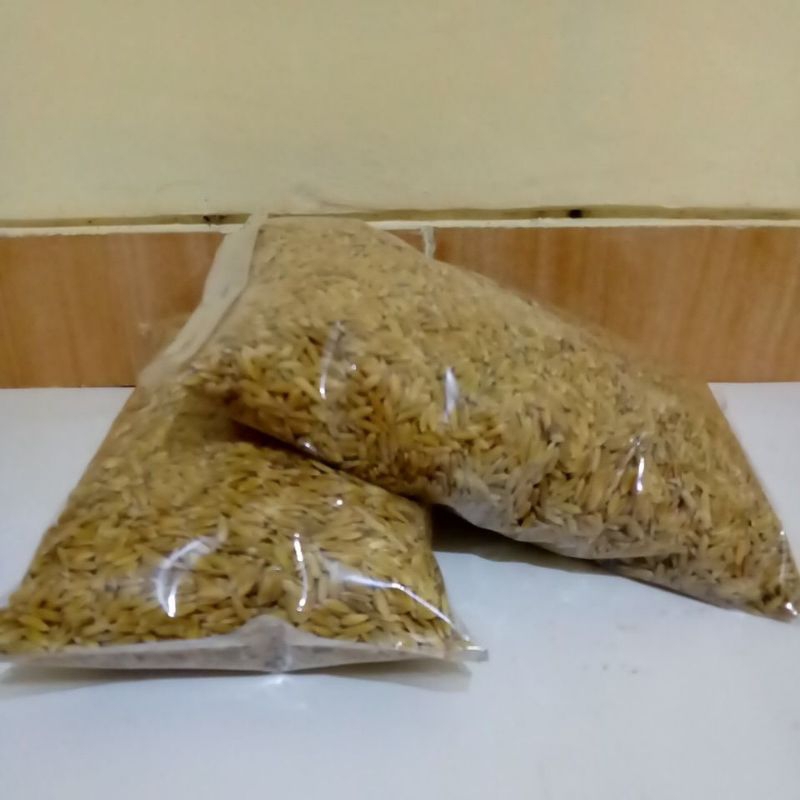 bibit padi ketan putih kualitas super,500 gram