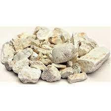 

Long Gu 生龙骨 Dragon Bones Fossilizid DragonsBone 50 Gr