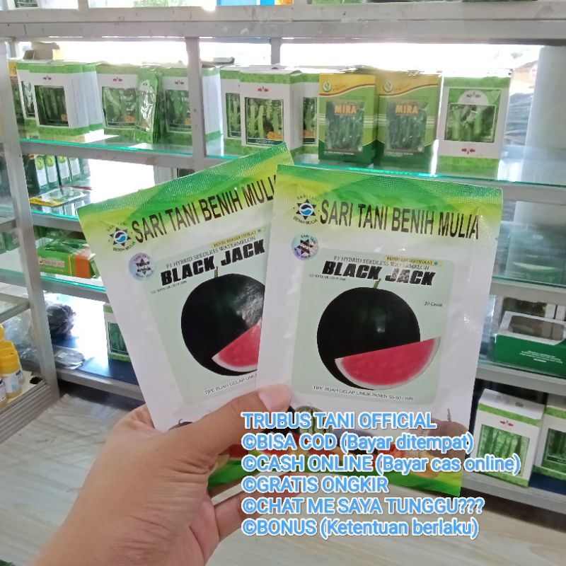 

Benih Semangka Jumbo Black Jack F1 Non Biji (Bobot 8-12 kg, Perawatan Mudah, Tahan Virus) Isi 20 gram estimasi 360-380 butir, Kadaluarsa 2026 (Terbaru Panjang) Berkwalitas Kemasan Pabrik