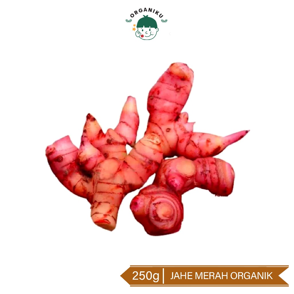 

Jahe Merah Organik / Organic Red Ginger 250g