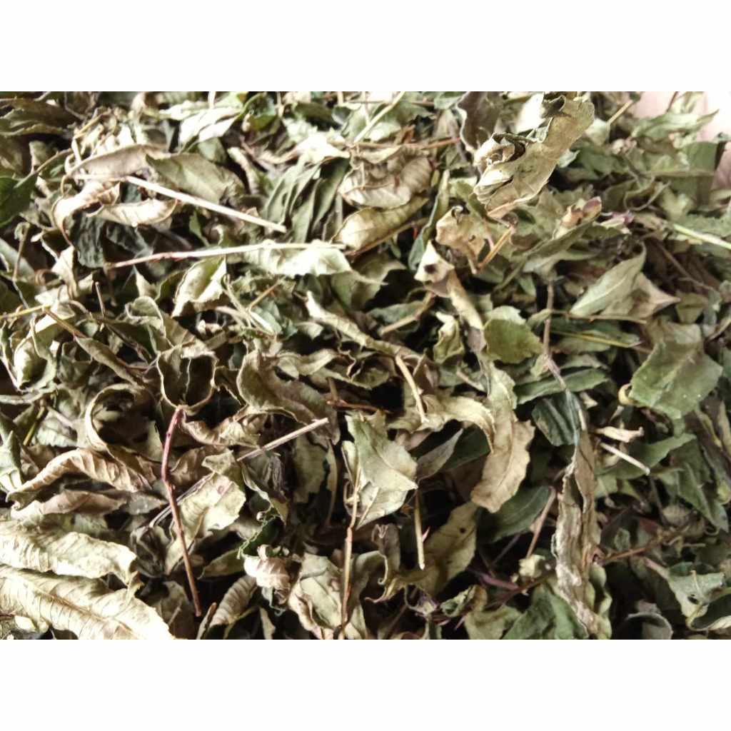 

Daun Andaliman Tuba Ittir ittir Kering Langsung dari Petani 500 Gram