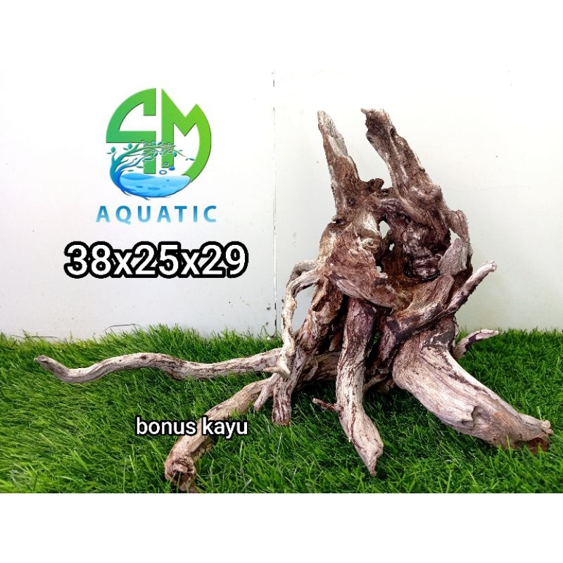 santigi laut tenggelam aquascape