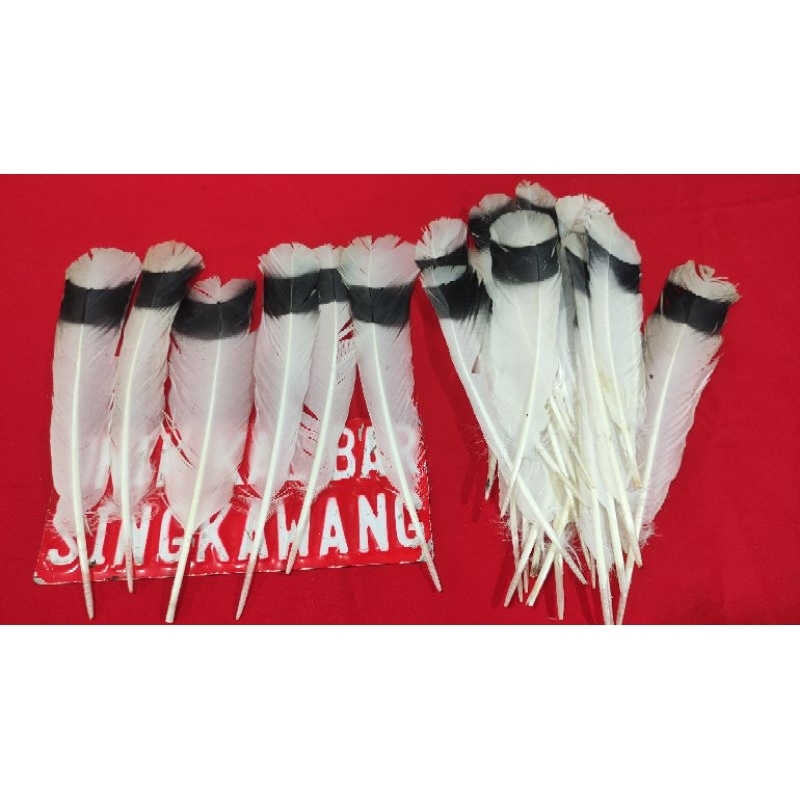 HIASAN BULU TARI DAYAK/ AKSESORIS PERLENGKAPAN BULU ENGGANG PALSU /BULU HITAM PUTIH