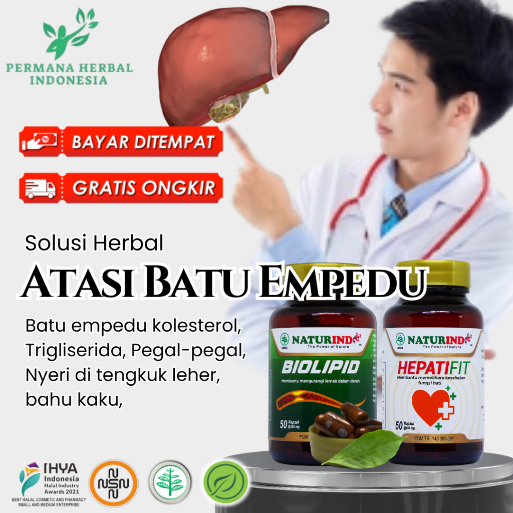Obat Batu Empedu Herbal Radang Kantong Empedu Pankreas Sakit Kuning Kerusakan Hati