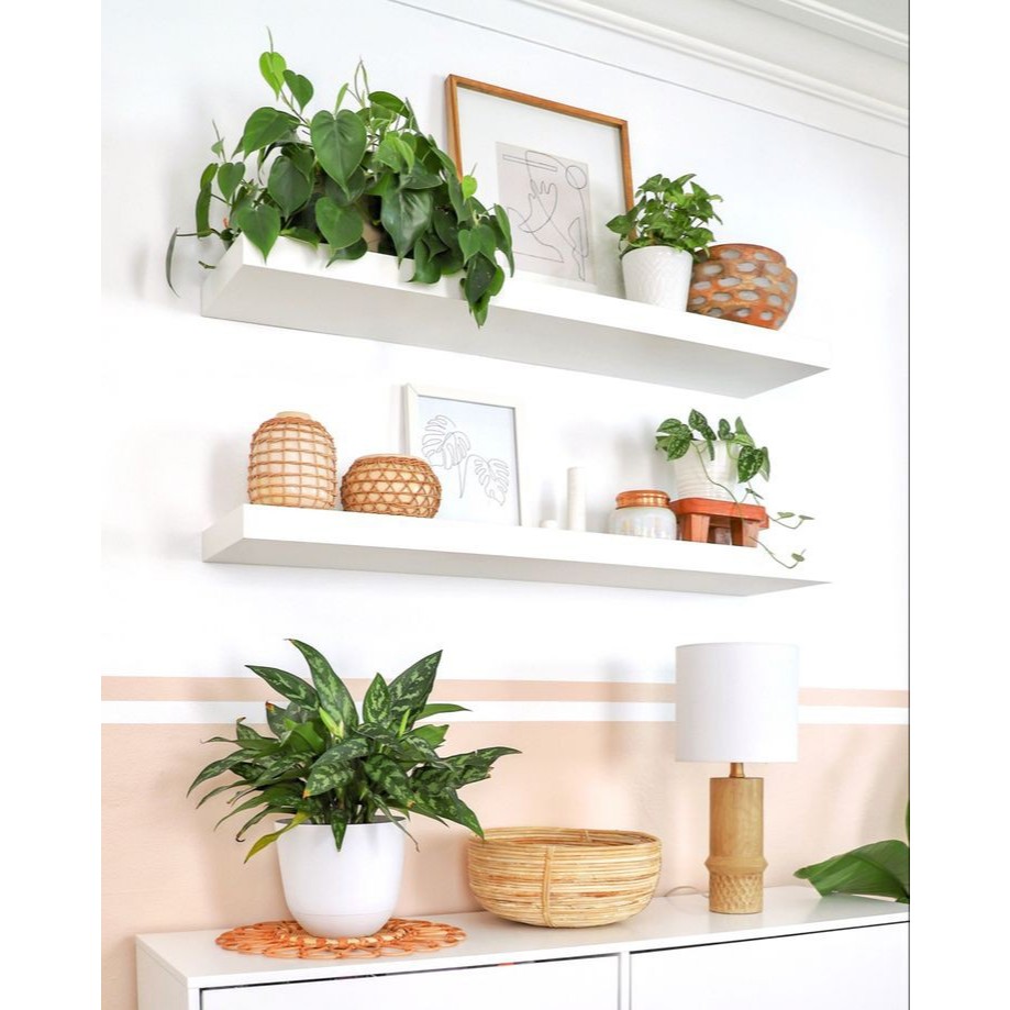 Rak Hiasan Ambalan  Tempat penyimpanan Pajangan Tanaman Hias Bunga Buku Obat Pensil Foto Piala Bumbu