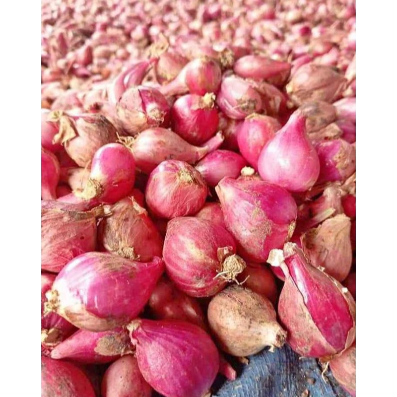 

Bawang Merah Super 1 Kg Fresh