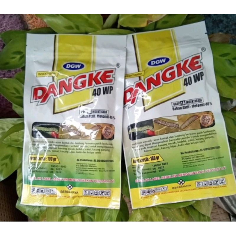 Dangke100gr