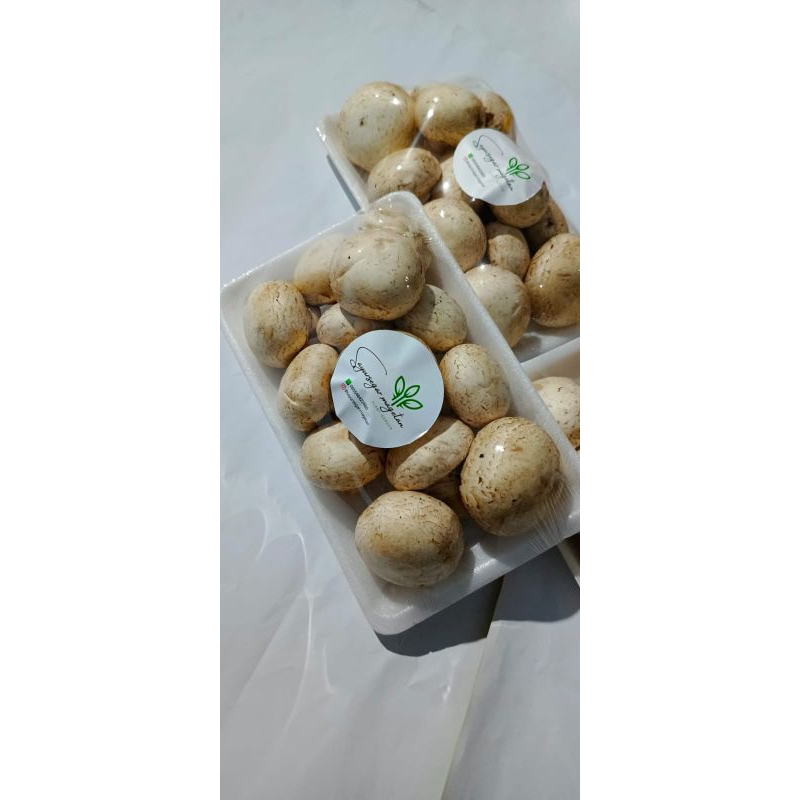 

champignon / jamur kancing