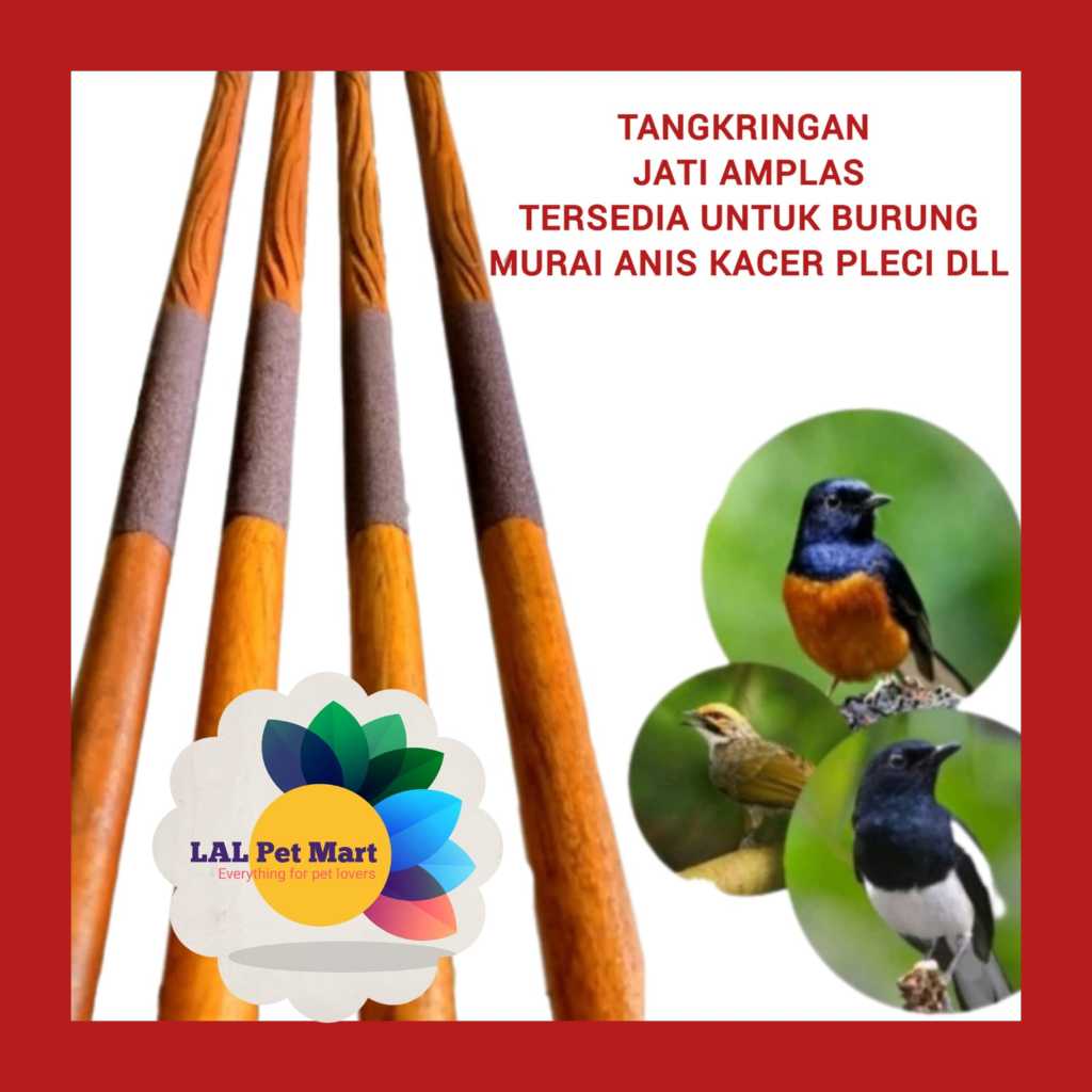 Tangkringan burung amplas jati untuk murai batu kenari pleci anis dll