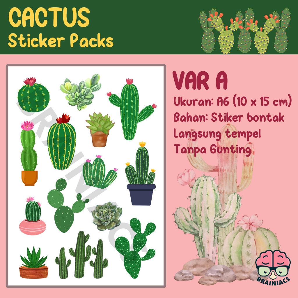 

ST-015, Sticker Stiker Cactus Kaktus Plants