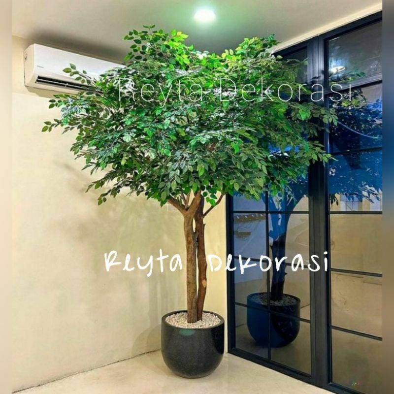 pohon beringin 3mtr pohon besar daun beringin - daun beringin pohon artificial bunga hias - bunga pl