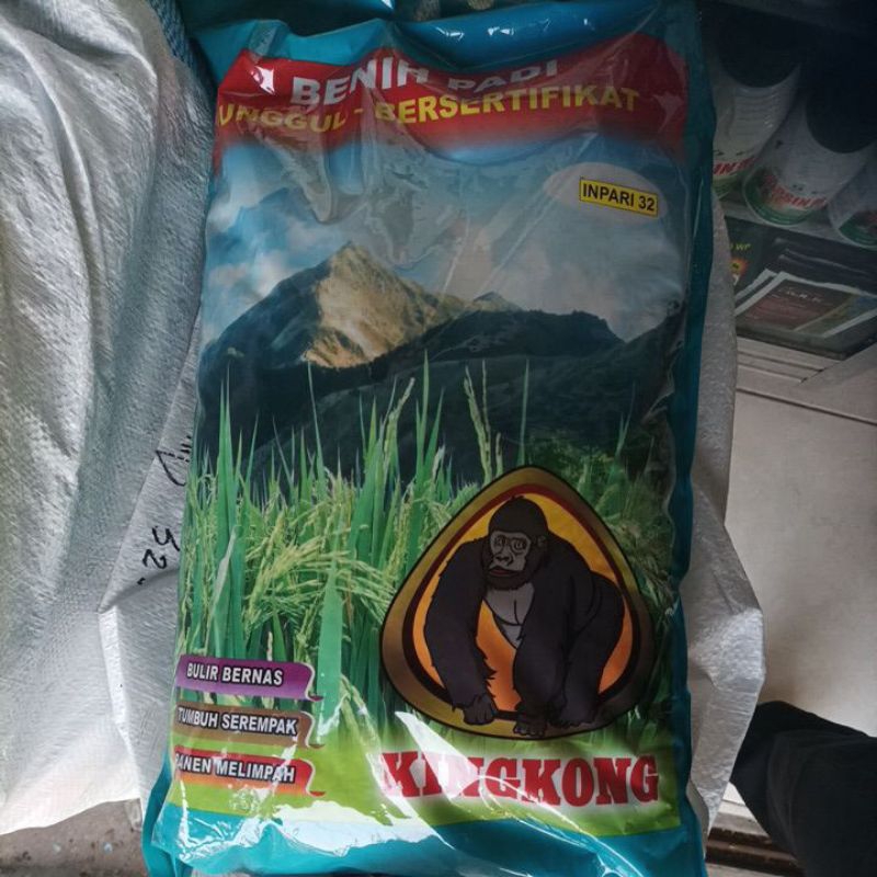 Benih Padi Kingkong Inpari 32 Original