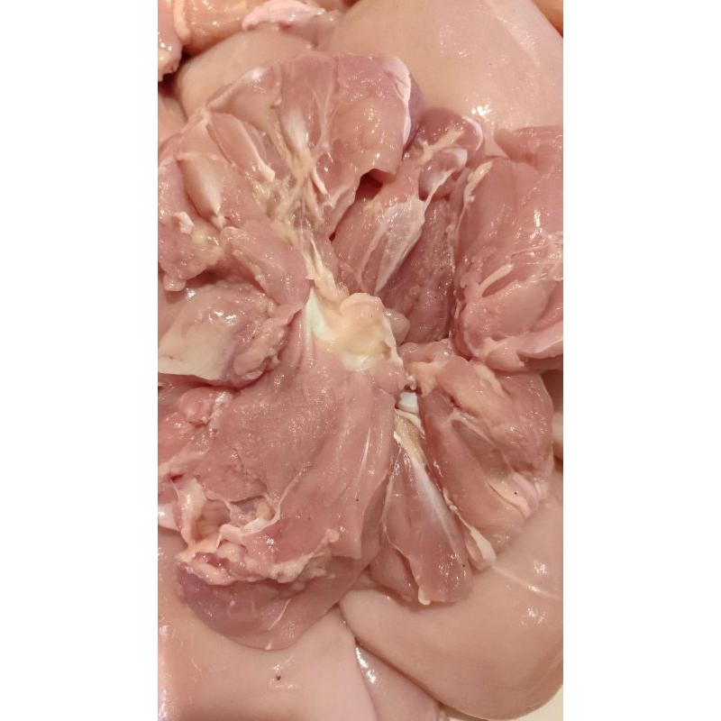 

paha ayam fillet 1 kg