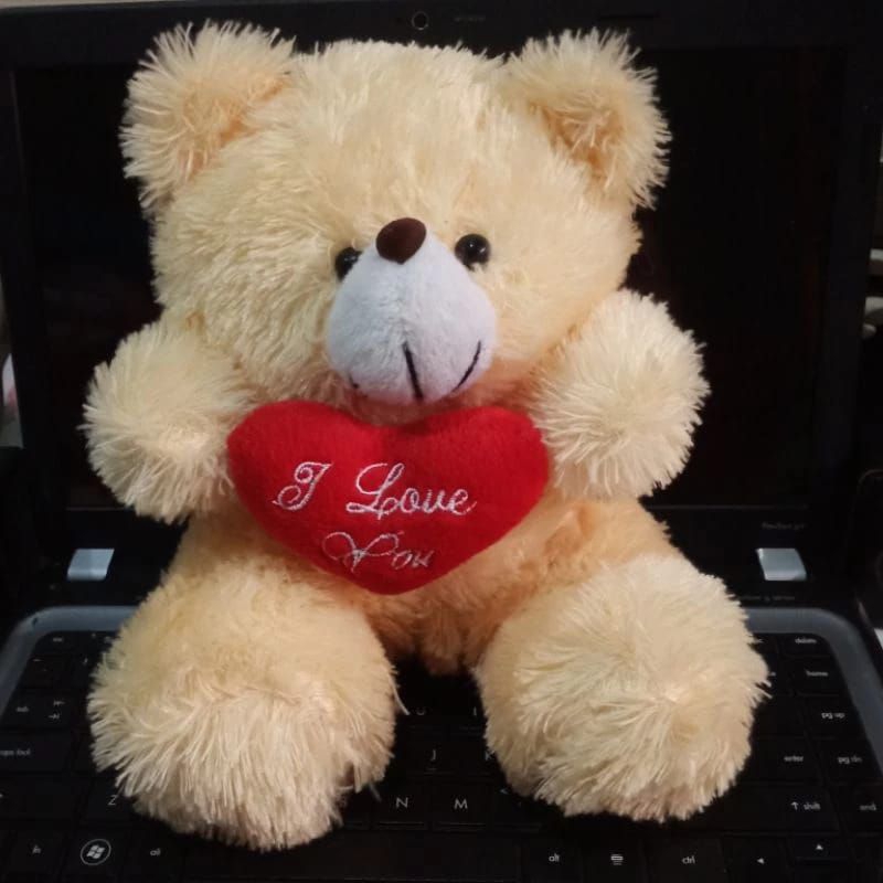 Boneka Bear Hadiah Boneka Sedang 20cm Teddy Bear Bahan Raspur