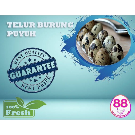 

TELUR BURUNG PUYUH / TELUR PUYUH (45 BUTIR)