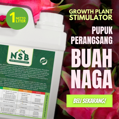 Pupuk Buah Naga Agar Berbuah Lebat / Pupuk Perangsang Buah Naga / Pupuk Buah Naga Merah Kuning